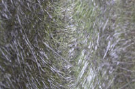 Undley fibreglass roof work